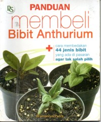 Image of Panduan Membeli Bibit Anthurium