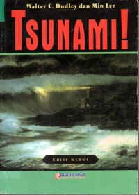 Image of Tsunami !